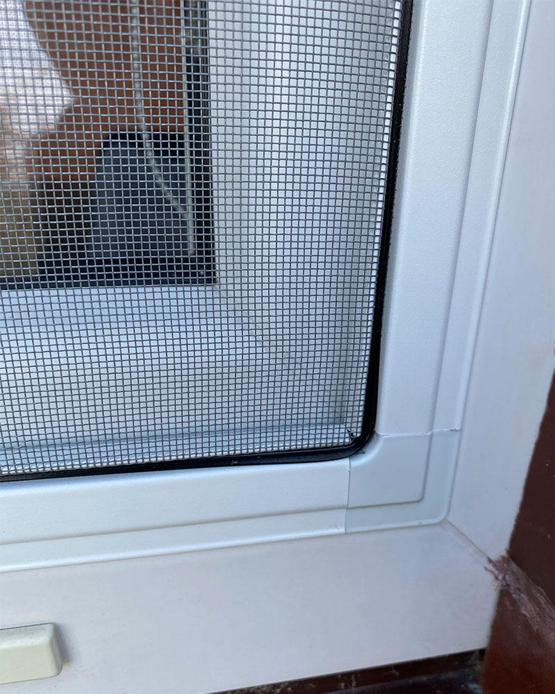 Putukavõrgud – Raam - Image 2