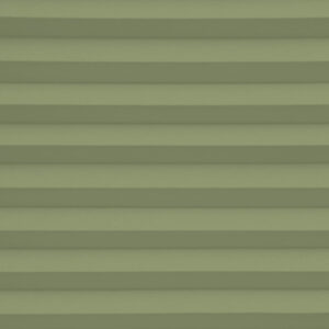 Lexington Blockout Spring