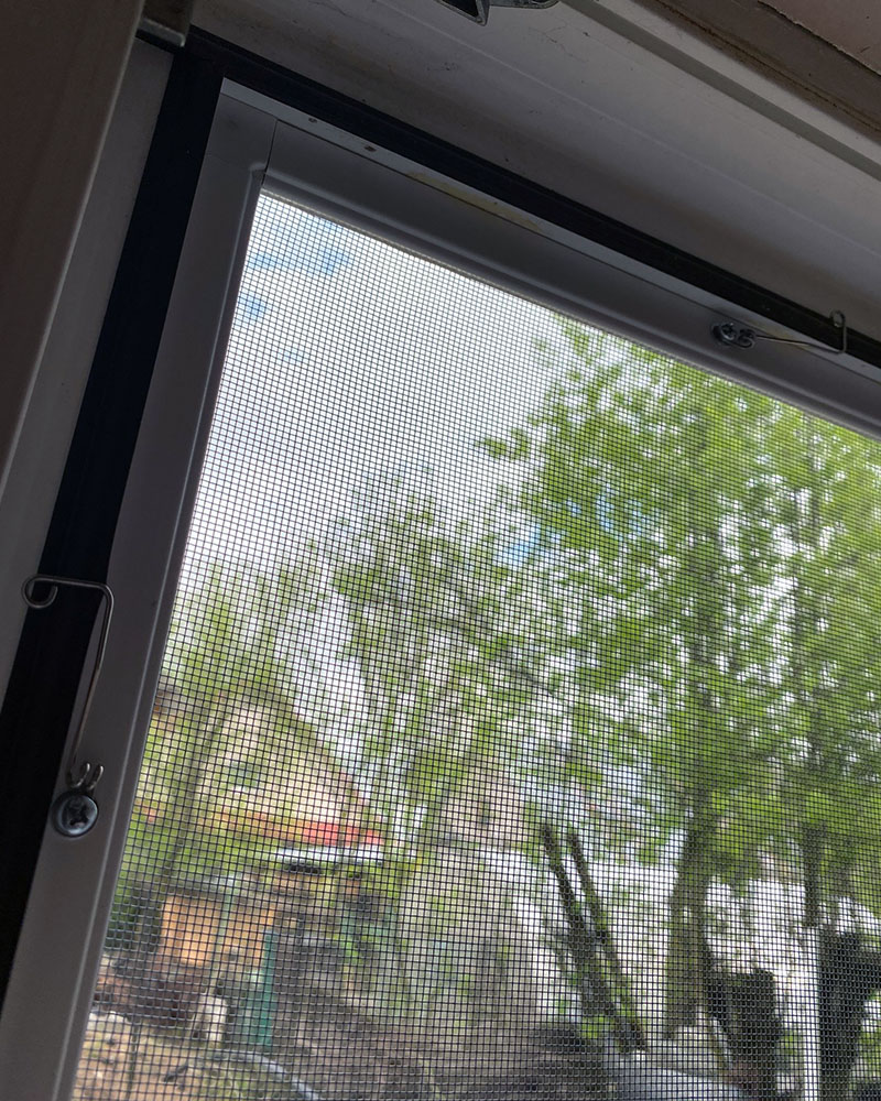 Putukavõrgud – Raam - Image 6